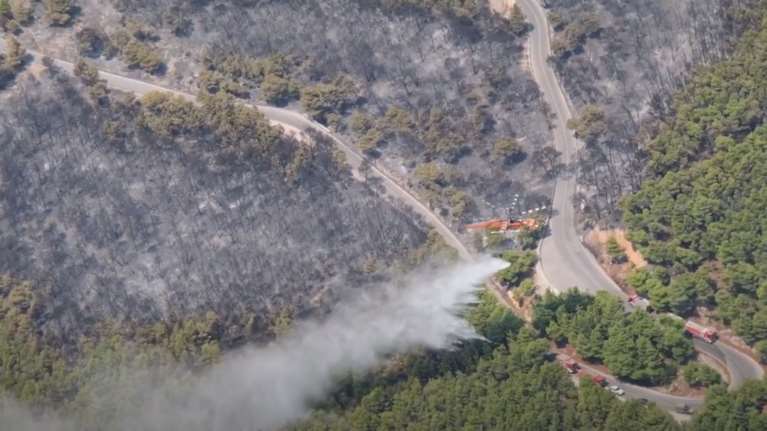 Χωρίς ενεργές εστίες η φωτιά στο Βουπράσιο Αχαΐας: Ολονύκτια μάχη να μην επεκταθεί στο δάσος της Στροφυλιάς
