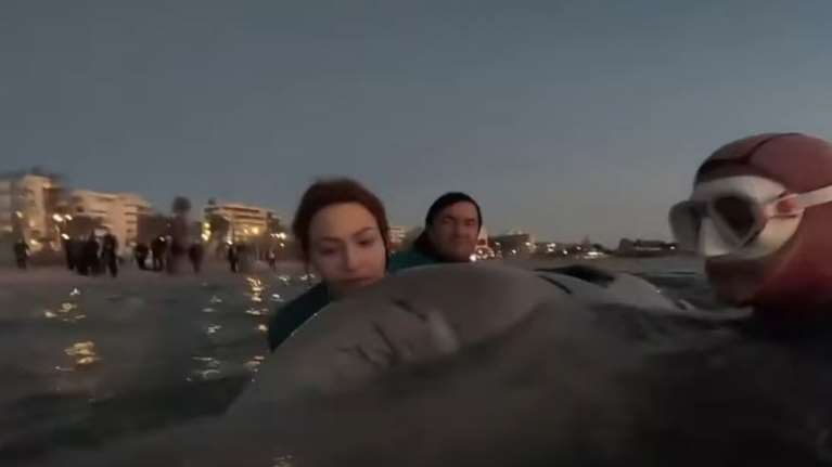 Συγκλονιστικό: Εθελόντρια τραγουδάει στη νεαρή φάλαινα που δίνει μάχη να κρατηθεί στη ζωή [Βίντεο]