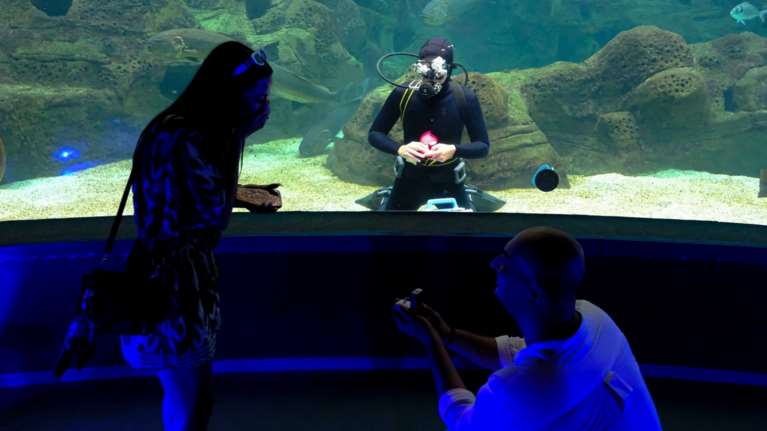 Κρήτη: Ιδιαίτερη πρόταση γάμου στο Ενυδρείο Ηρακλείου [βίντεο]