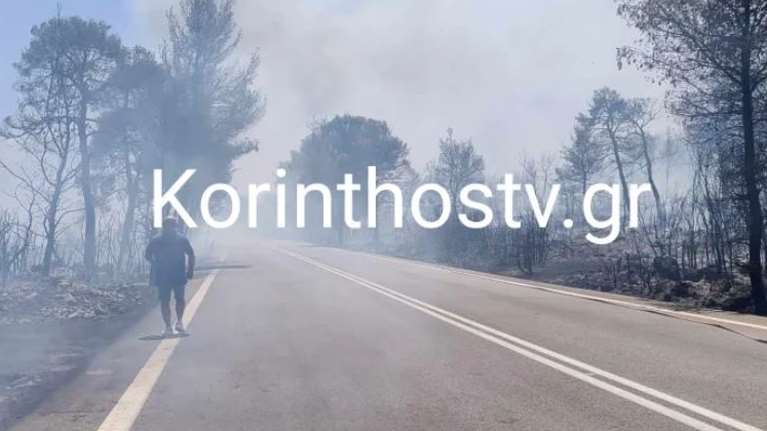 Φωτιά στο Σοφικό Κορινθίας: Πυροσβέστης έπαθε καρδιακό επεισόδιο - Ολονύχτια μάχη με τις φλόγες