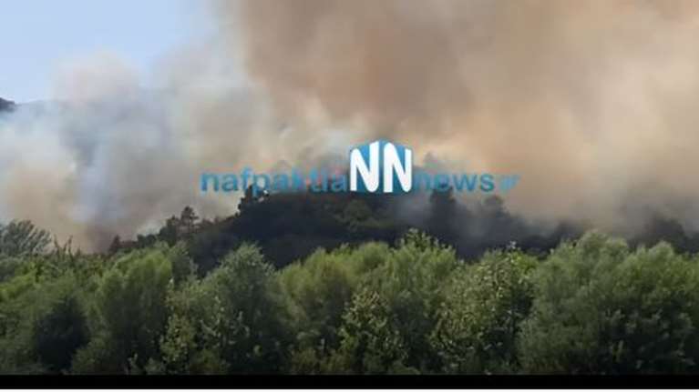 Μεγάλη δασική πυρκαγιά στο Παραδείσι Αγρινίου - Εκκενώθηκε το χωριό και ο οικισμός Κάτω Μπερμπάντι [Εικόνες και βίντεο]