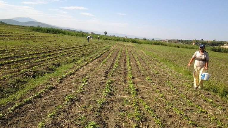 Επιστρεπτέα Προκαταβολή 4: Δικαιούχοι και αγρότες – Έως 30 Νοεμβρίου οι αιτήσεις
