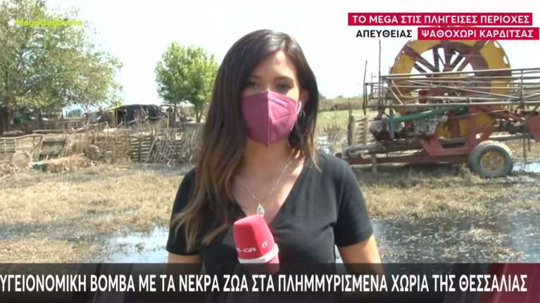 Καρδίτσα: &quot;Σταμάτη, ένα φίδι&quot; - Η στιγμή που η δημοσιογράφος του Mega βλέπει ερπετό ενώ είναι στον &quot;αέρα&quot; [Βίντεο]