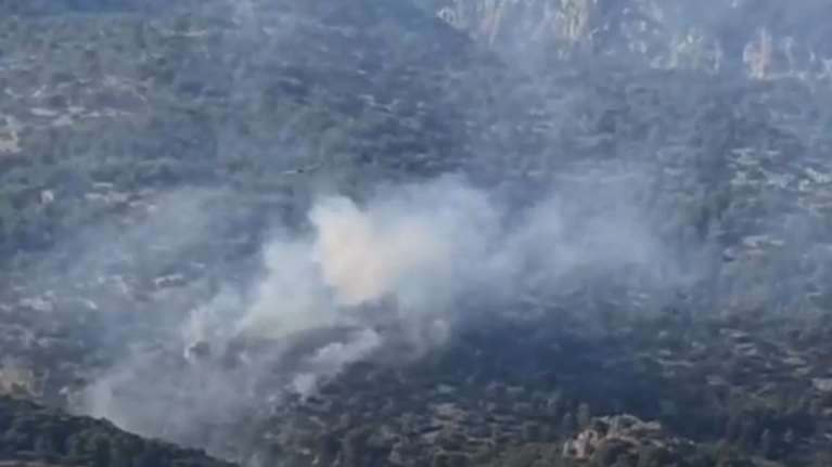 Φωτιά στην Πάρνηθα: Σε ύφεση η πυρκαγιά στην περιοχή Ντάρδιζα [Βίντεο]