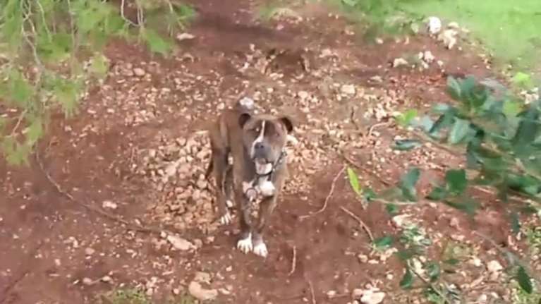 Ζάκυνθος: &quot;Να εγκαταλείψω εγώ το παιδί μου;&quot; - Ο πατέρας του 2χρονου απαντά στις επικρίσεις για αμέλεια