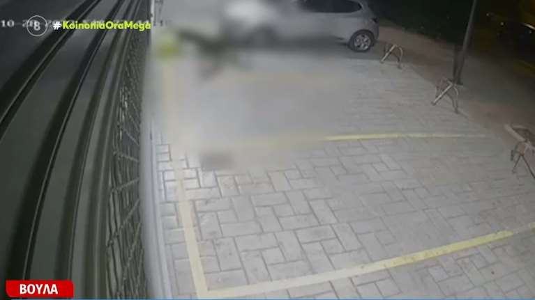 Σοκαριστικό περιστατικό στη Βούλα: Άφησε ανεξέλεγκτα τρία πίτμπουλ και κατασπάραξαν αδέσποτες γάτες [βίντεο]