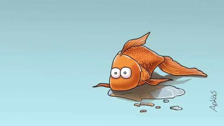 Το μυστηριώδες σκίτσο του Αρκά με το χρυσόψαρο και τη γυάλα