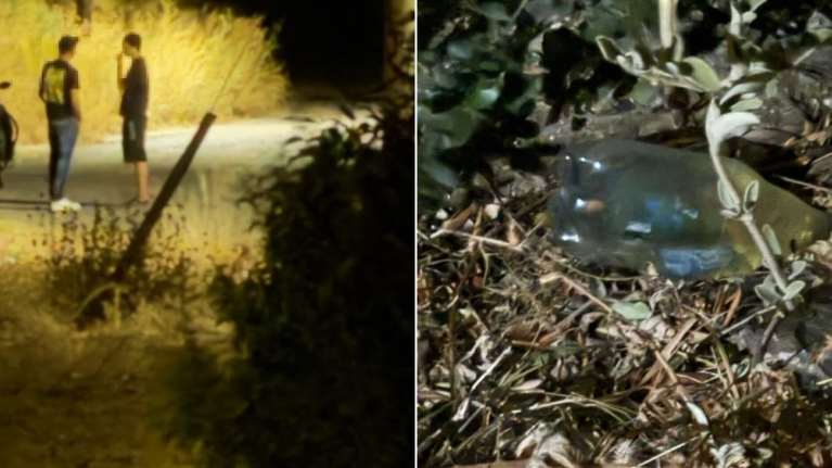Αχαΐα: "Πίναμε μπύρες, κάναμε χασίς και είπαμε να βάλουμε φωτιά": Η εξοργιστική παραδοχή του 19χρονου που ομολόγησε τον εμπρησμό