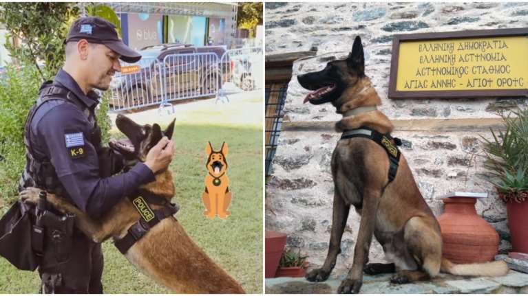 Βγαίνει στη σύνταξη ο Όσκαρ, ο πιο διάσημος σκύλος περιπολίας της ΕΛΑΣ - Εκπαιδεύτηκε ήδη η αντικαταστάτριά του [εικόνες]