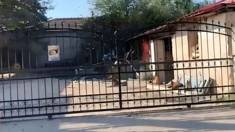 Λάρισα: Η 80χρονη πάλευε για μισή ώρα με 10 άγρια σκυλιά που την κατασπάραξαν- Συνελήφθη ο γιος για ανθρωποκτονία απο αμέλεια