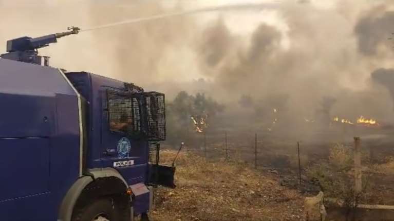 Φωτιά στη Μάνδρα: Στη μάχη με τις φλόγες και οι &quot;Αίαντες&quot; της αστυνομίας [βίντεο]