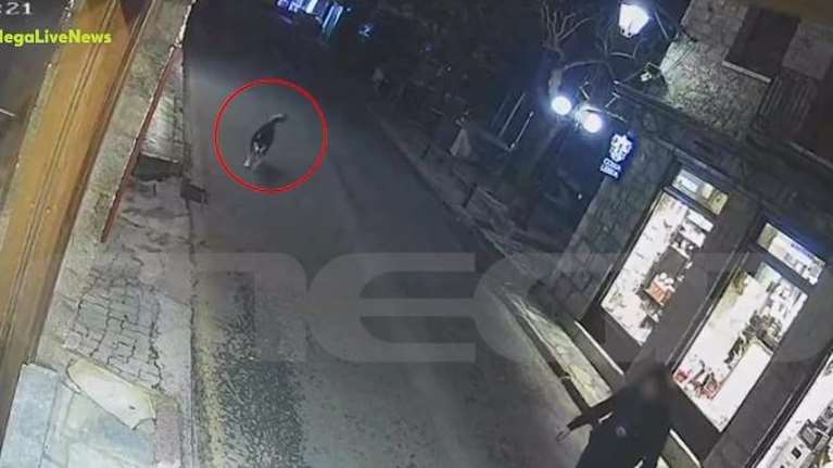 Αράχωβα: Ώρες πριν τον θανάσιμο τραυματισμό του χάσκι η φωτογραφία με τον άγνωστο άντρα, λέει η αστυνομία [βίντεο]