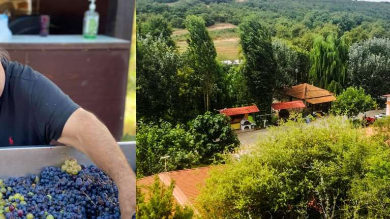 Ο αγρότης Βασίλης Καρράς: Η φάρμα που έφτιαξε στο Κοκκινοχώρι με τα βιολογικά προϊόντα [Βίντεο]