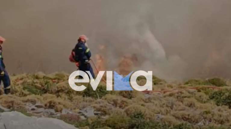 Φωτιά στην Κάρυστο: Ενισχύθηκαν οι δυνάμεις της Πυροσβεστικής - Επιχειρούν 8 εναέρια μέσα [Εικόνες - Βίντεο]
