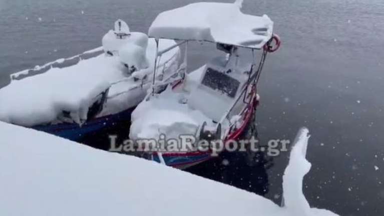 Φθιώτιδα: Το χιόνι έφτασε στη θάλασσα στη Λάρυμνα - Το έστρωσε στις βάρκες - &quot;Θάφτηκε&quot; το Μαρτίνο [Βιντεο]
