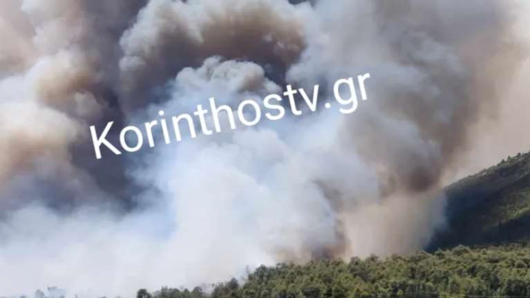 Ανεξέλεγκτη η φωτιά στο Σοφικό Κορινθίας: Πύρινος εφιάλτης κατακαίει πευκοδάσος, 22 εναέρια μέσα, 3 τραυματίες πυροσβέστες