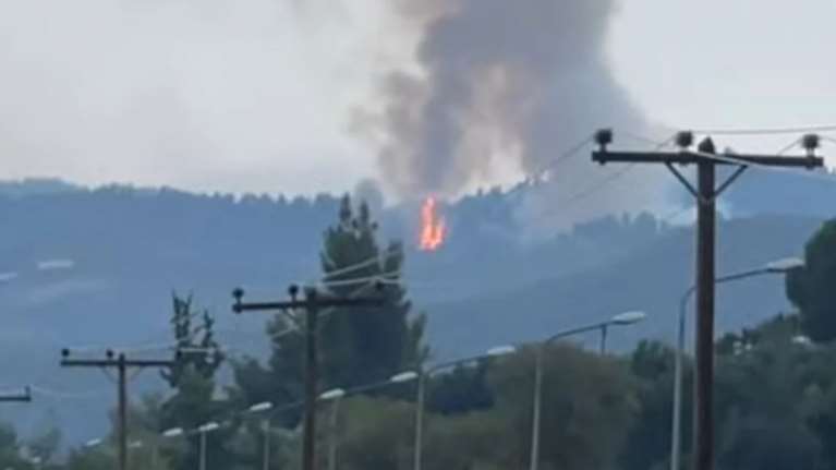 Υπό έλεγχο οι φωτιές σε Σάνη και Σιθωνία [βίντεο]