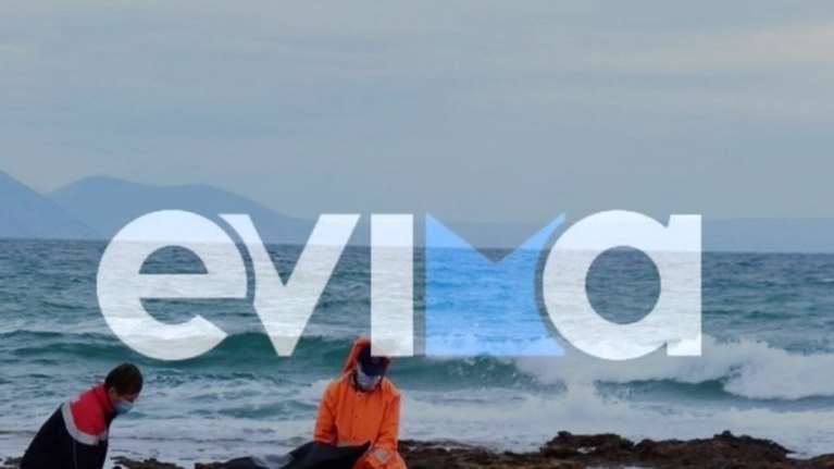 Εύβοια: Εντοπίστηκε νεκρή 66χρονη μέσα στη θάλασσα