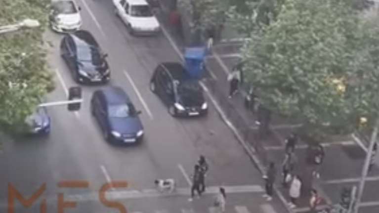 Συγκινητικό: Θεσσαλονικείς σταμάτησαν τα αυτοκίνητά τους για να περάσει σκύλος που κούτσαινε [βίντεο]