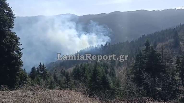 Συναγερμός στην Πυροσβεστική: Φωτιά στο δάσος Τυμφρηστού [εικόνες, βίντεο]
