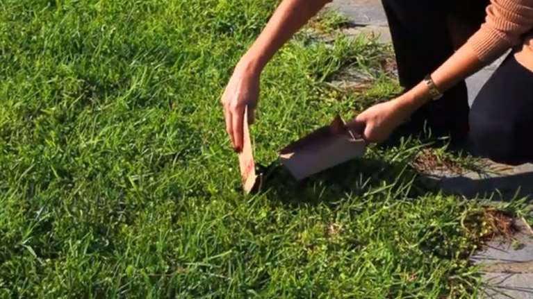 Νο kaka: Η λαμιώτικη πατέντα για τις ακαθαρσίες των σκύλων