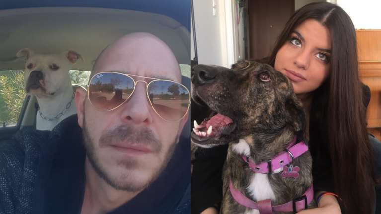 Πληρωμένη απάντηση της Σταματάκου στον 38χρονο που κακοποιούσε σκυλιά -  &quot;Μου στέλνει υβριστικά και απειλητικά μηνύματα&quot;