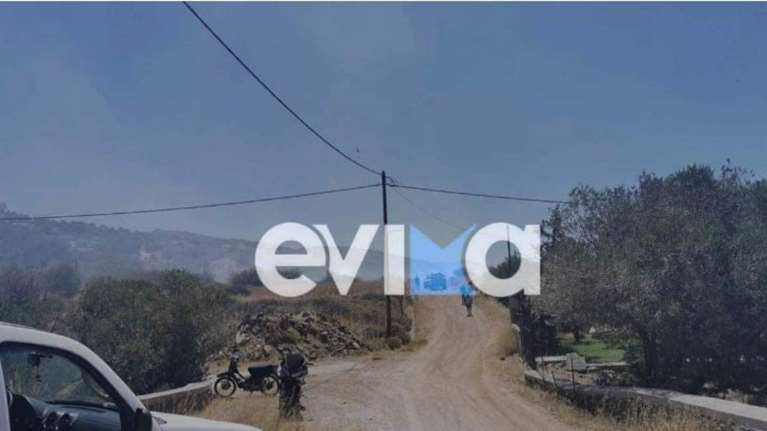 Υπό μερικό έλεγχο η φωτιά στην Κάρυστο: &quot;Οι φλόγες καίνε μέσα σε παραθεριστικές κατοικίες&quot;, λέει ο δήμαρχος