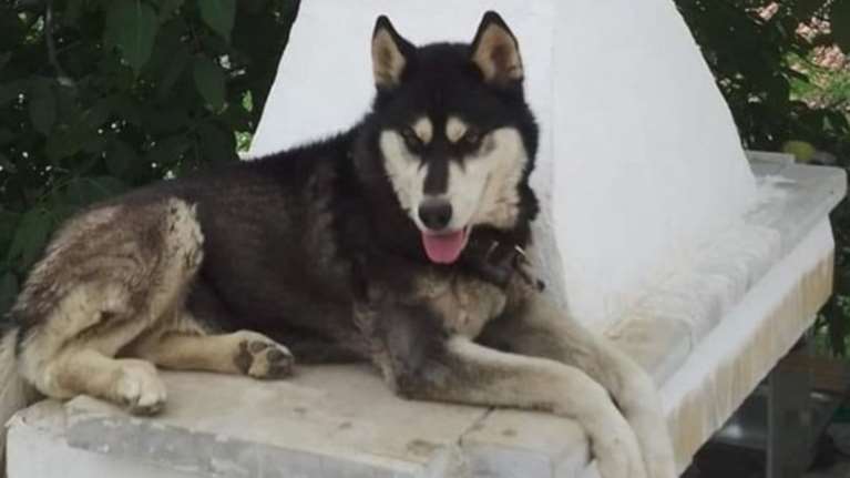 Αράχωβα: Οργισμένη η Μάρθα Πουλτίδου για τον Ολιβερ - &quot;Βλέπουμε ότι μας κορόιδευαν μέσα στα μούτρα μας&quot;