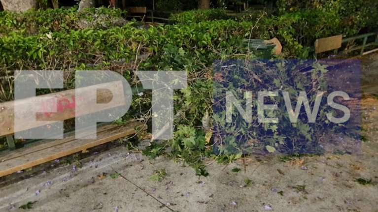 Παραλίγο τραγωδία στο Ζάππειο – Κλαδί καταπλάκωσε τρεις τουρίστες