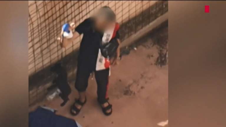 Σοκαριστικό βίντεο ντοκουμέντο: Ακραία κακοποίηση ζώου από ανήλικο - Προσοχή, σκληρές εικόνες