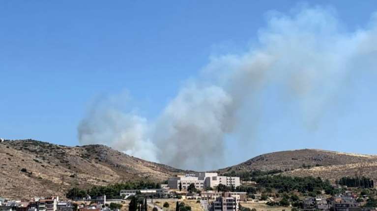 Μεγάλη φωτιά στη Χαλκίδα: Κοντά σε κατοικημένη περιοχή οι φλόγες [Εικόνες - Βίντεο]