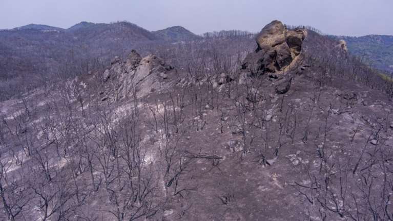 Φωτιά στον Έβρο: Κυβερνητικό κλιμάκιο στις πυρόπληκτες περιοχές για αυτοψία