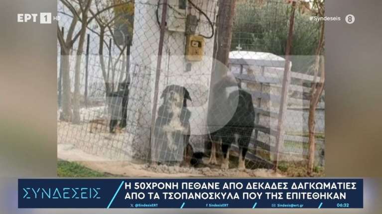 Πώς τιμωρήθηκε ο ιδιοκτήτης ενός ροτβάιλερ, που το 2016 κατασπάραξε ενα 5χρονο αγόρι;- Ποινή 4 έτη, εξαγοράσιμα, ούτε μια ημέρα φυλακή