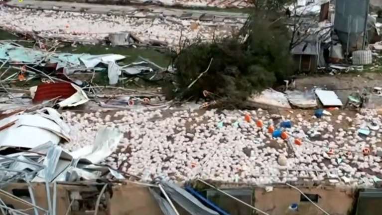 Καλπάκι: Σε απόγνωση οι ιδιοκτήτες της πτηνοτροφικής μονάδας με τα 40.000 νεκρά κοτόπουλα