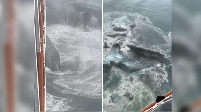 Τρόμος στον ωκεανό: Η στιγμή που κρουαζιερόπλοιο πέφτει σε παγόβουνο κρυμμένο στην ομίχλη [βίντεο]