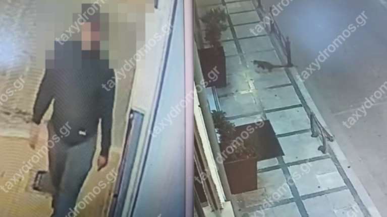 Βόλος: Συνελήφθη ο μανιακός serial killer των αδέσποτων ζώων – Πώς έφτασαν στον εντοπισμό του οι Αρχές