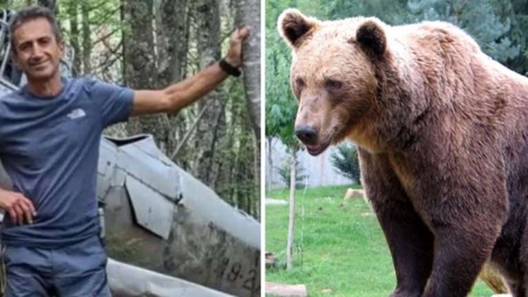 Δράμα: Τι δείχνει το βίντεο με τις τελευταίες στιγμές του 61χρονου ορειβάτη και το επεισόδιο με την αρκούδα
