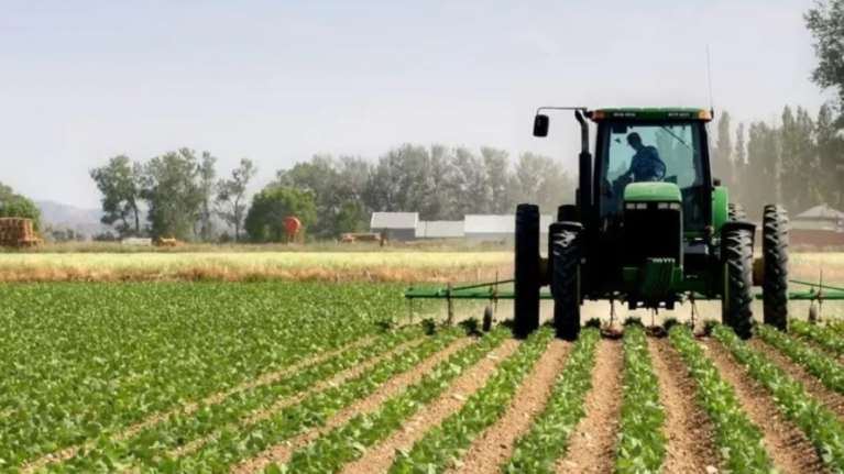 Πόσα δηλώνουν οι αγρότες στην εφορία: Οι τρεις στους τέσσερις εμφανίζουν εισόδημα κάτω από 5.000 ευρώ τον χρόνο