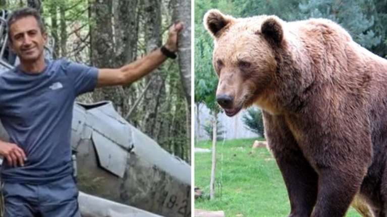Δράμα: Οι ασάφειες του φίλου του 61χρονου ορειβάτη και το βίντεο με την επίθεση της αρκούδας - "Πόνος, φωνές και μετά σιωπή"