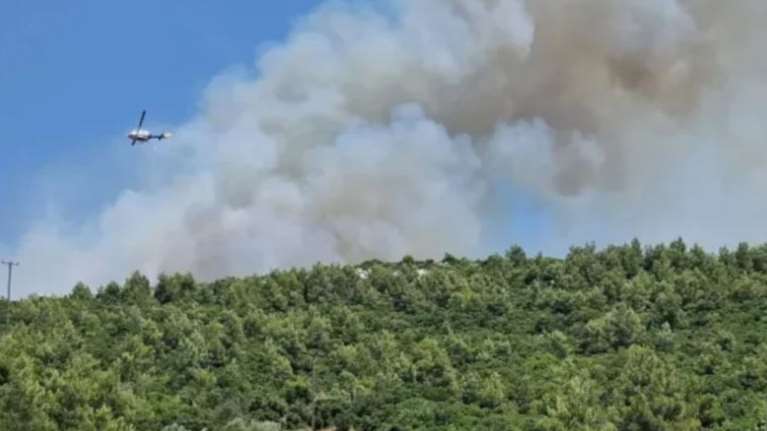 Φωτιά στον Ωρωπό: Μαίνεται σε δυσπρόσιτο και δύσβατο σημείο - Ενισχύθηκαν οι δυνάμεις, διακοπή της κυκλοφορίας