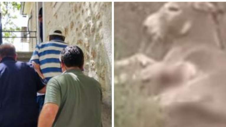 Ιωάννινα: Συνελήφθη ο αντιδήμαρχος Ζίτσας που έσερνε το γάιδαρο στο δρόμο με το αγροτικό του - Ζητούν την αποπομπή του [εικόνα]