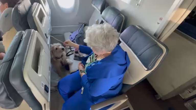 Ιταλία: Για πρώτη φορά μεγάλα σκυλιά ταξίδεψαν μαζί με τους ιδιοκτήτες τους σε δοκιμαστική αεροπορική πτήση [βίντεο]