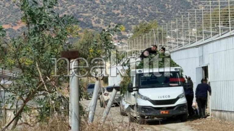 Αστυνομική επιχείρηση στη Μεσσαρά: Ξήλωσαν χασισοφυτεία με πάνω από 1.000 δενδρύλλια κάνναβης