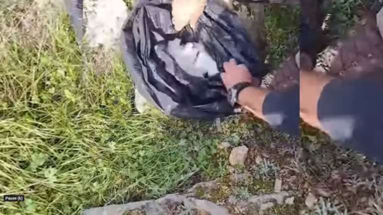 Λάρισα: Έκρυβαν μισό κιλό κοκαΐνη κάτω από πέτρες στο χωράφι [εικόνες - βίντεο]