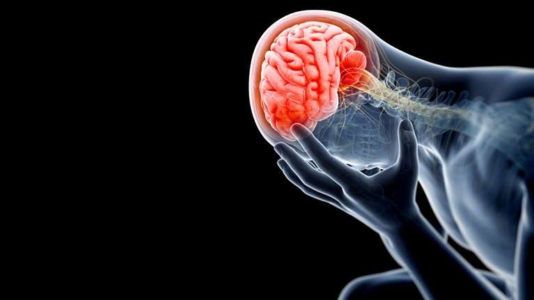 Νέα έρευνα: Ο εγκέφαλος έχει κύτταρα που καταγράφουν σαν ρολόι το χρόνο