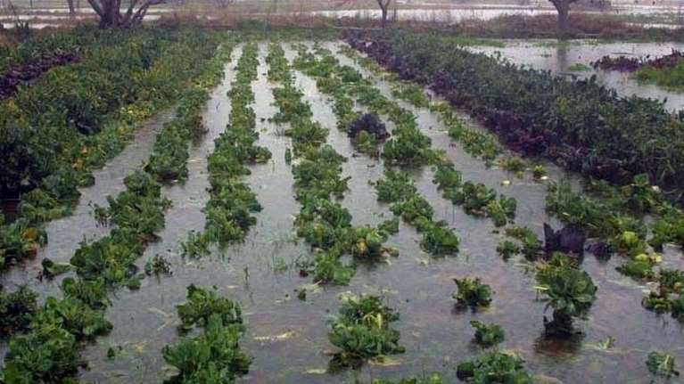 Κοζάνη: Σε κατάσταση έκτακτης ανάγκης ο Δήμος Εορδαίας