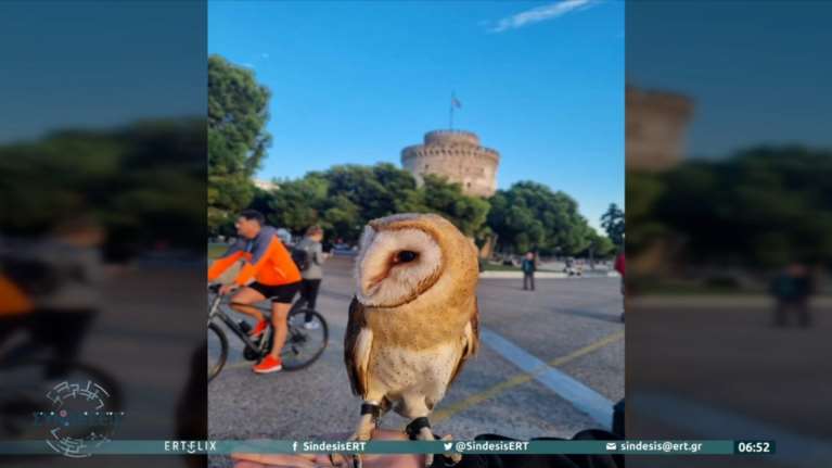 Βγήκε βόλτα στον Λευκό Πύργο με... μια κουκουβάγια στο χέρι - Την είχε δεμένη με αλυσίδα [βίντεο]