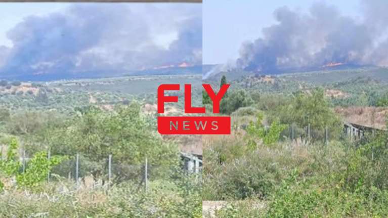 Φωτιά στη Λακωνία: Πυρκαγιά στην περιοχή Πυρί Σπάρτης - Μεγάλη κινητοποίηση της Πυροσβεστικής