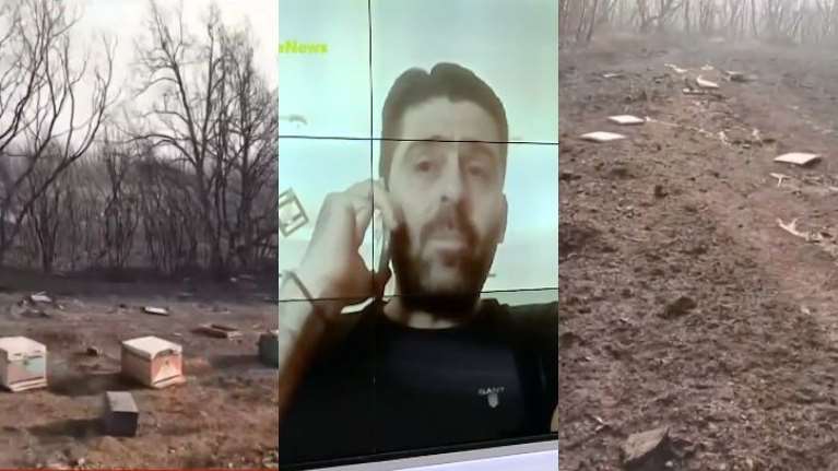 Συγκινεί ο μελισσοκόμος του Έβρου: &quot;Μισή ώρα ξάπλωσα στη καμένη γη κι έκλαιγα - Έχασα τα κορίτσια μου&quot;