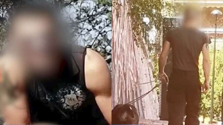 Φρίκη στον Βύρωνα: Άντρας βάζει πιτ μπουλ να ξεκοιλιάζει γάτες και τις πετάει στα σκουπίδια [βίντεο]